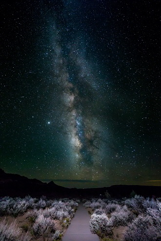 Gutty Earth and Sky (5)